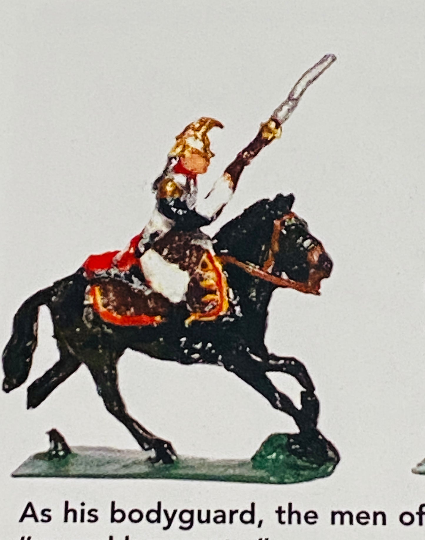 X-French Mounted Centguard